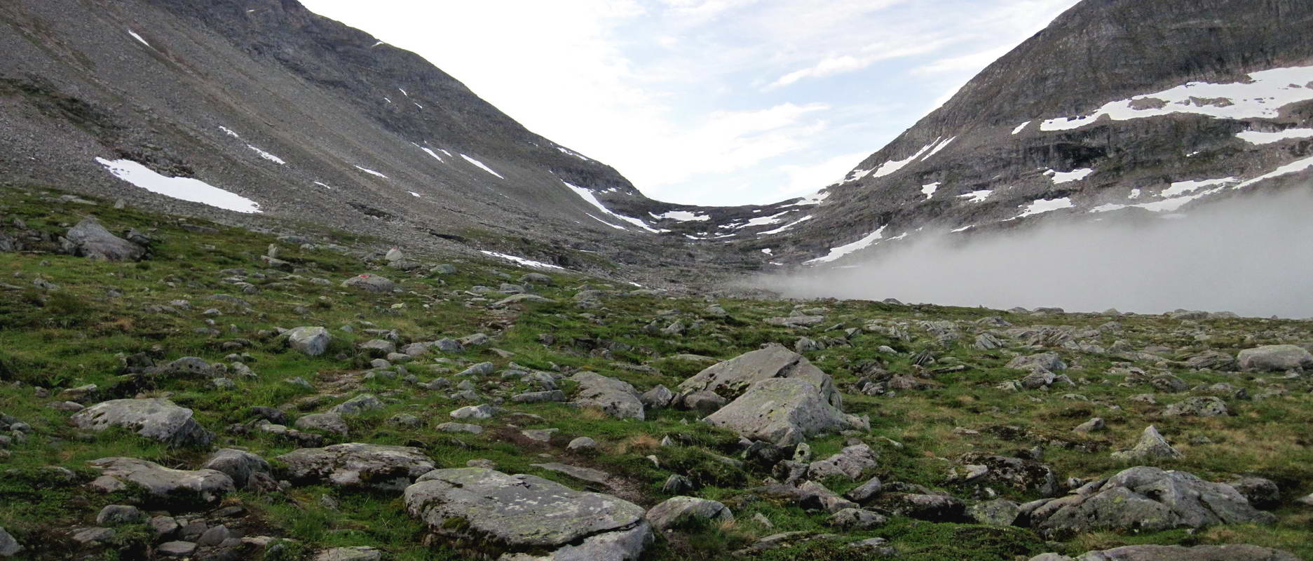 Bjoraskaret